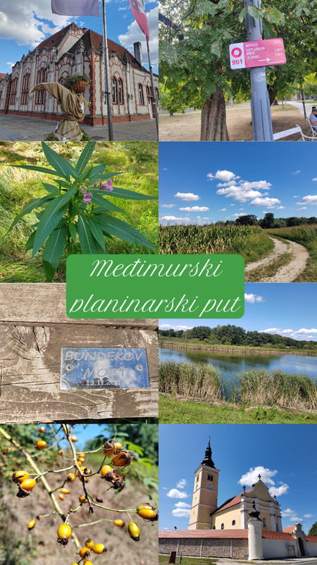 Storybeat-1756051871366