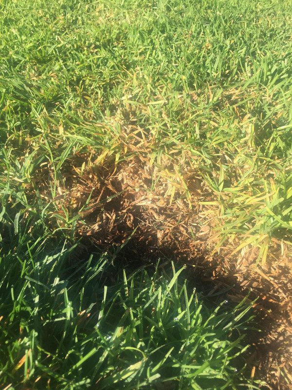 6D16AFB8-835E-4772-8F09-D55185A04AEE