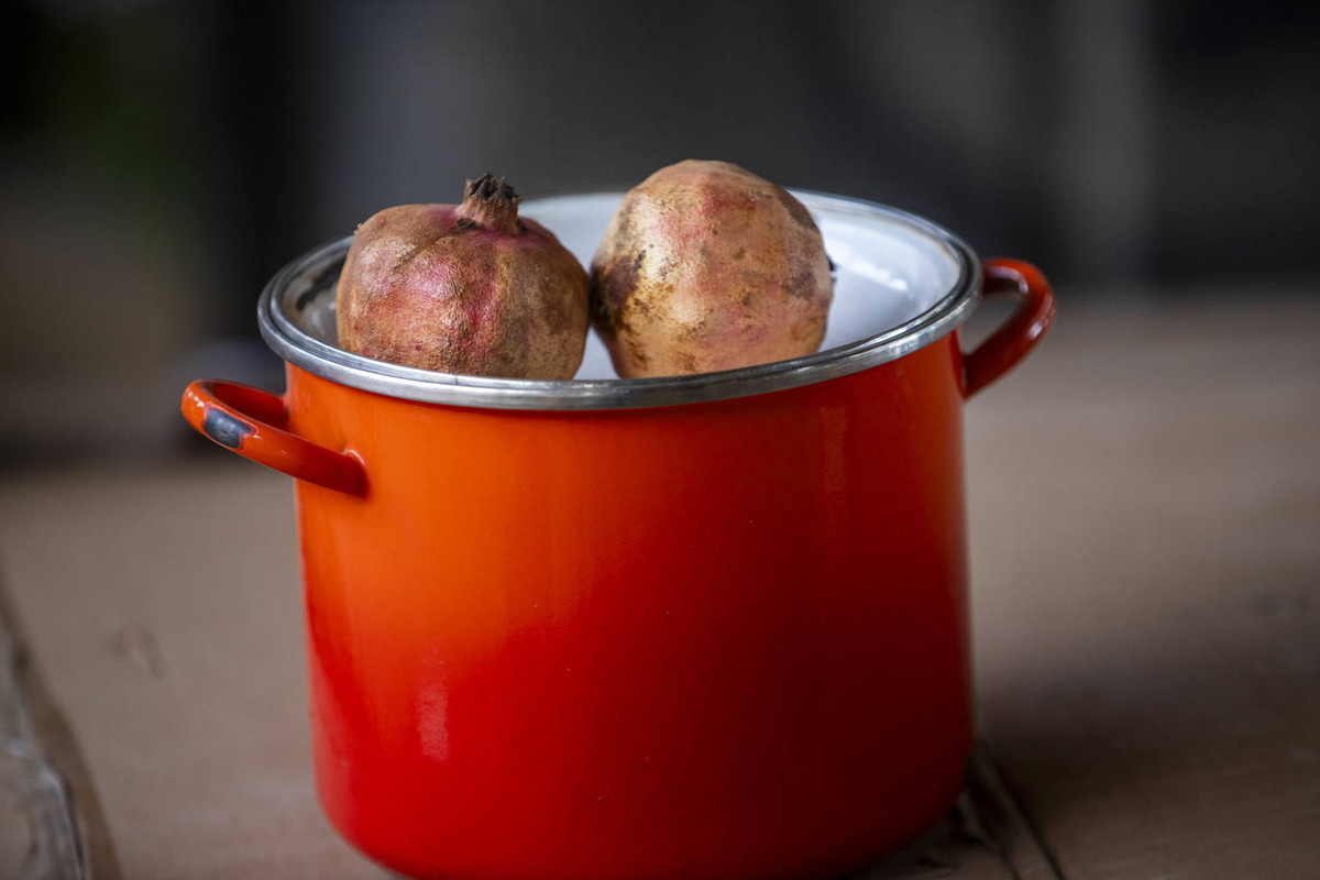 [Dos granadas sobre una olla]