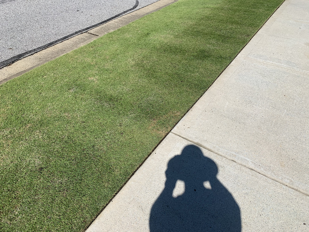 E70ED836-C223-4FE6-8754-DDE83A169E66