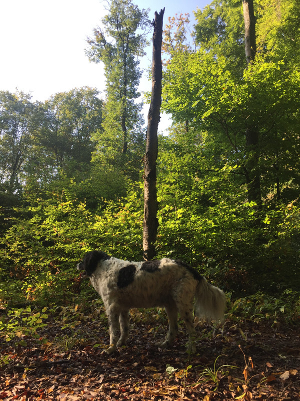 12A8F42B-02F9-45C0-ACC6-B26864D16F6A