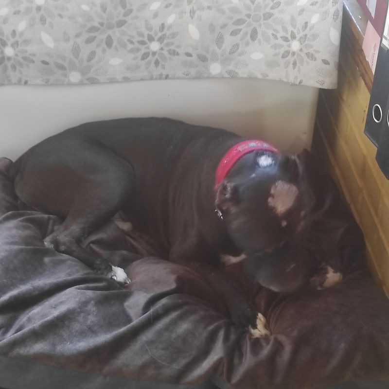 A4E35C02-EF01-4D6C-A519-AFF3B2648556