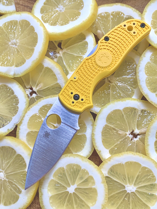 4BFF1796-0CB1-4C2E-8359-8AECC2DA89FF