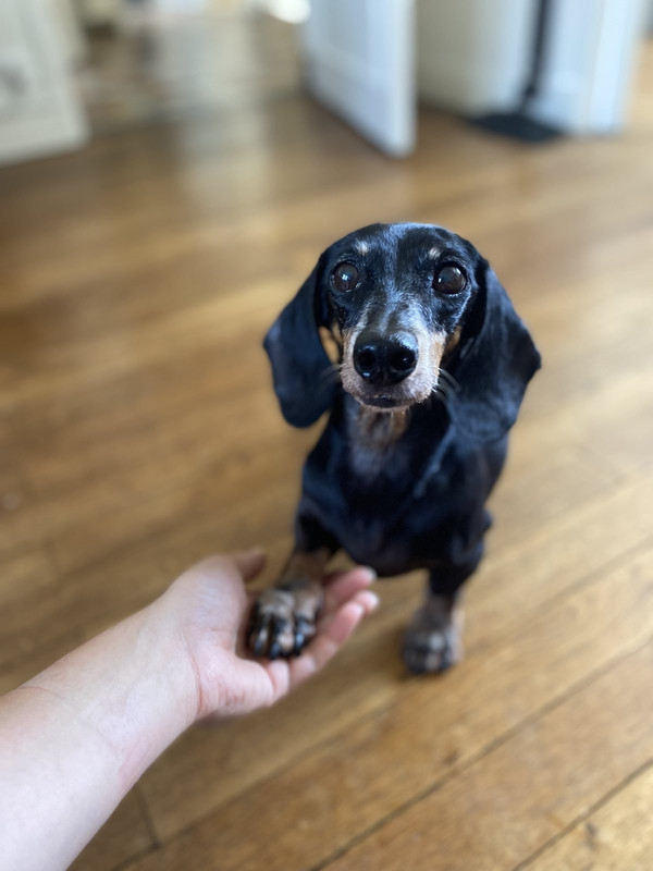 [Image: IMG-5780.jpg]