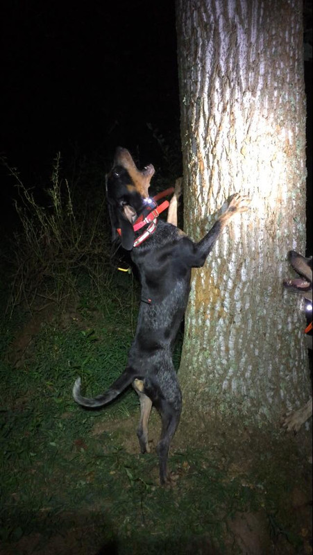 39012677_317845725428829_5254040390914277376_n