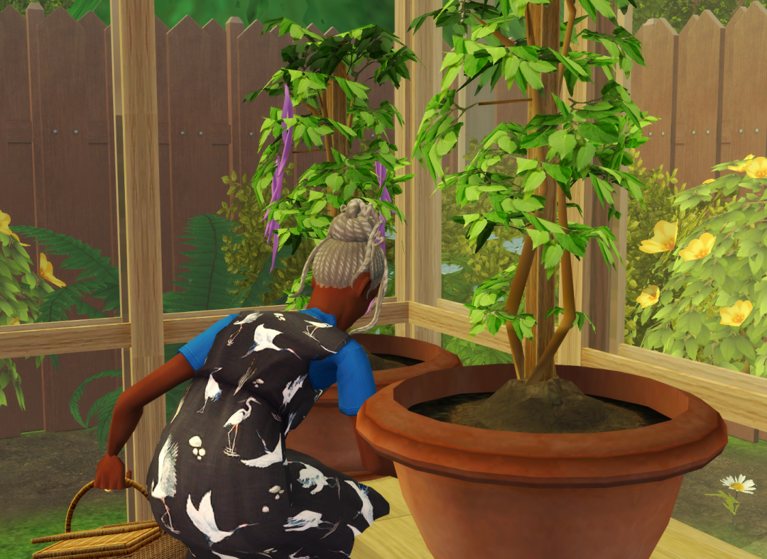 Sims2-EP9-RPC-2023-02-17-21-34-56-97