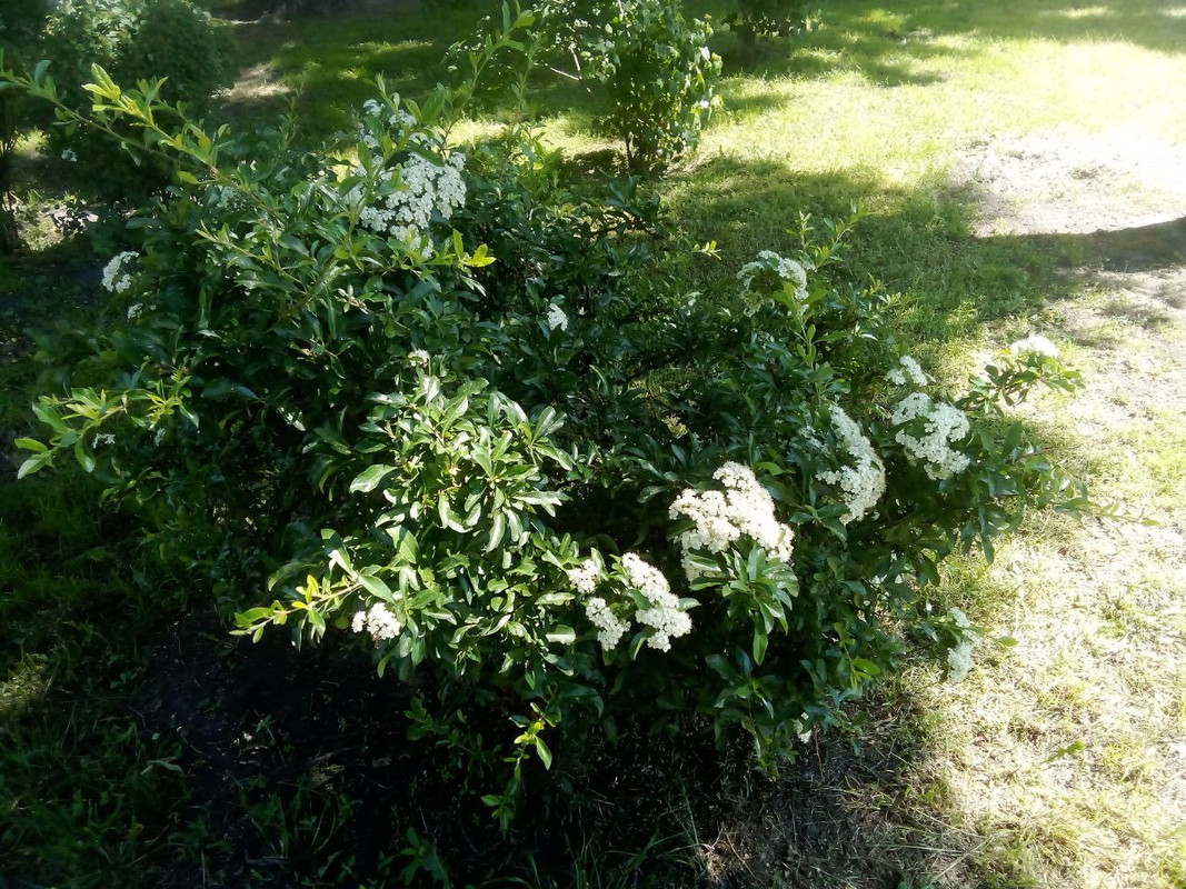 photo_2025-05-31 5.25.08 пп