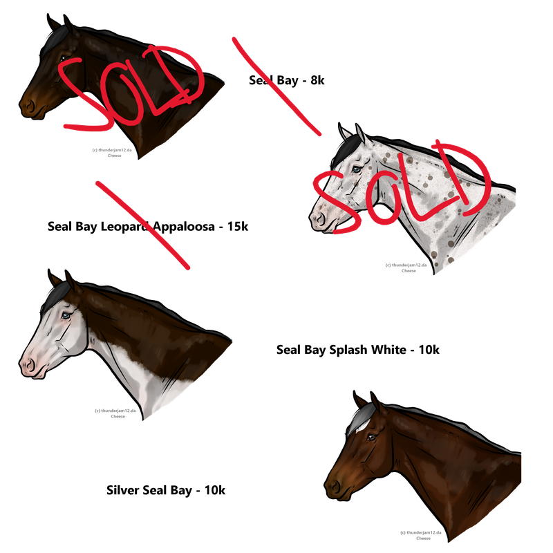 seals.png