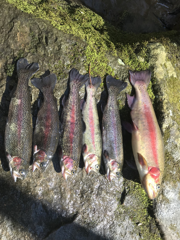 C64FDA7B-7175-4ED8-9795-5078AF4BC5F9