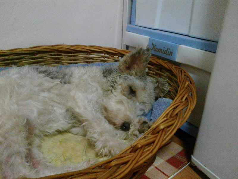 20122011301