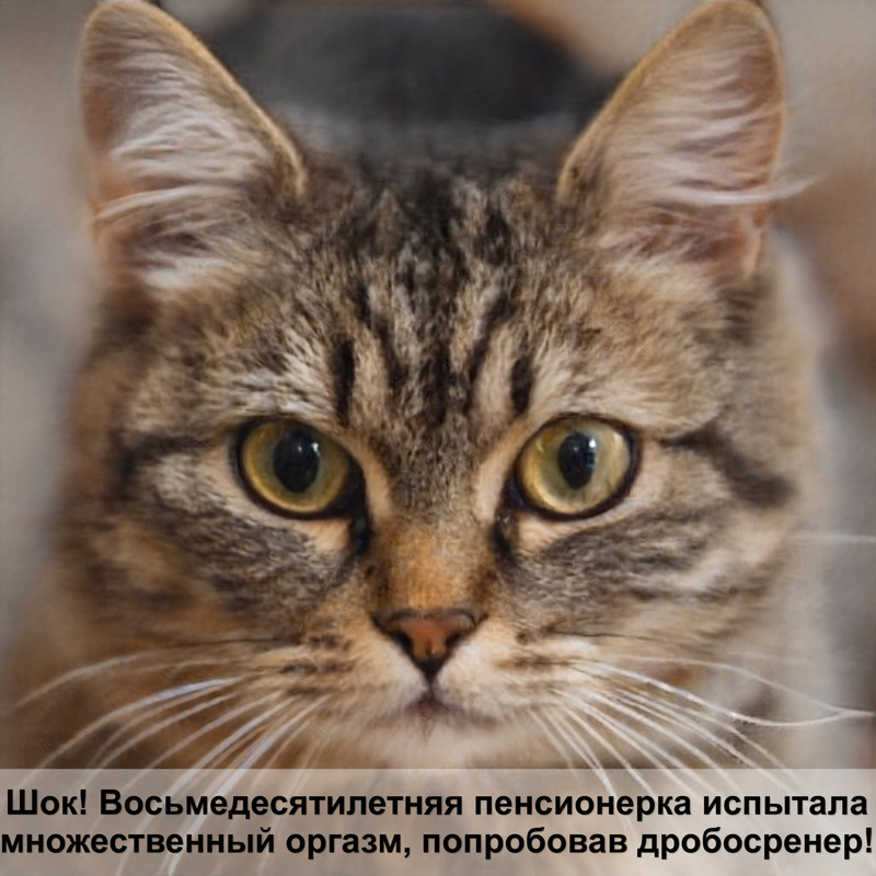 лоток для кошек с сеткой