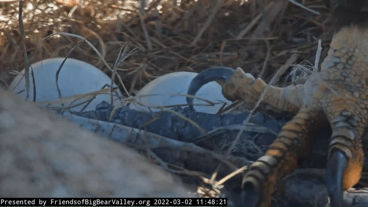 Webp.net-gifmaker (7)