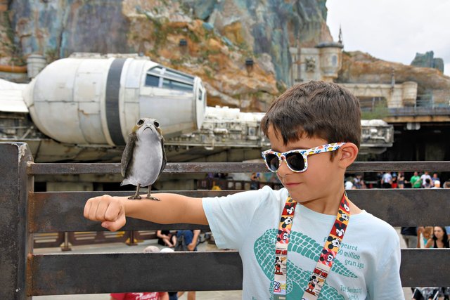 HOLLYWOOD STUDIOS - Semana Blanca en Disney World 24/02/24 - 02/03/24 (5)