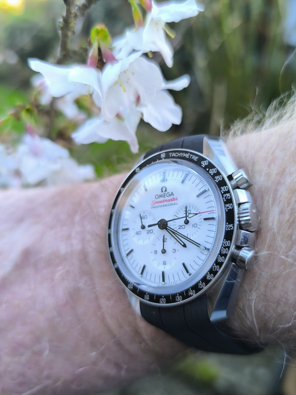 IMG 20260311 161744 2