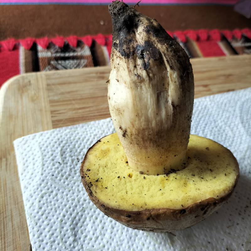 WhatsApp Image 2022-11-27 at 11.59.06(1)