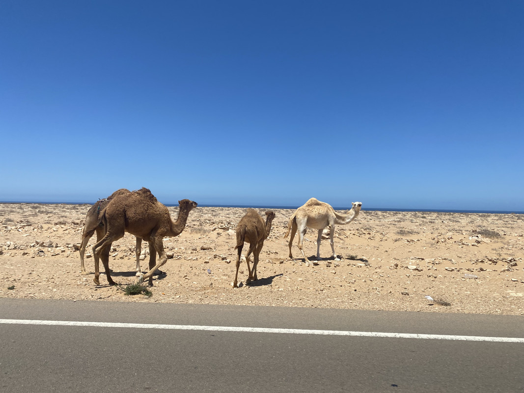 Carreteras, Gendarmería y Estaciones de Servicio - Al Sur del Sur: entre el desierto y el océano (47)