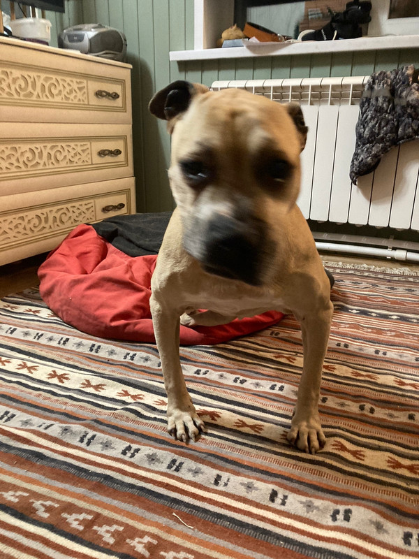 8D281953-1DBB-4DB1-9E67-C0CD548A26C2