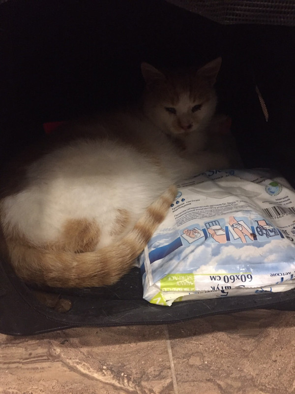 0B14E893-9524-4F9B-894B-4790A5E5EEF8