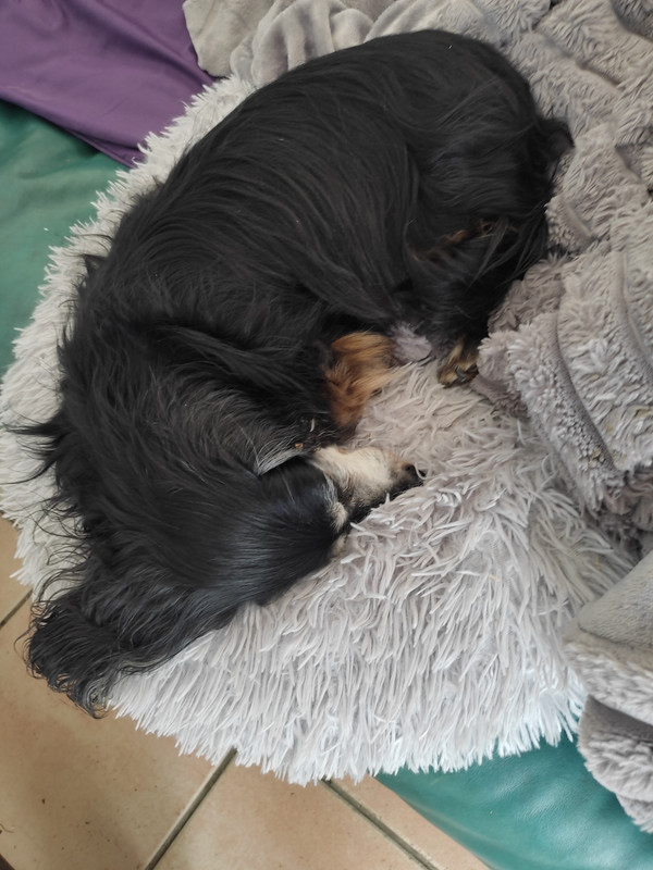 [Image: IMG-20240605-171346.jpg]