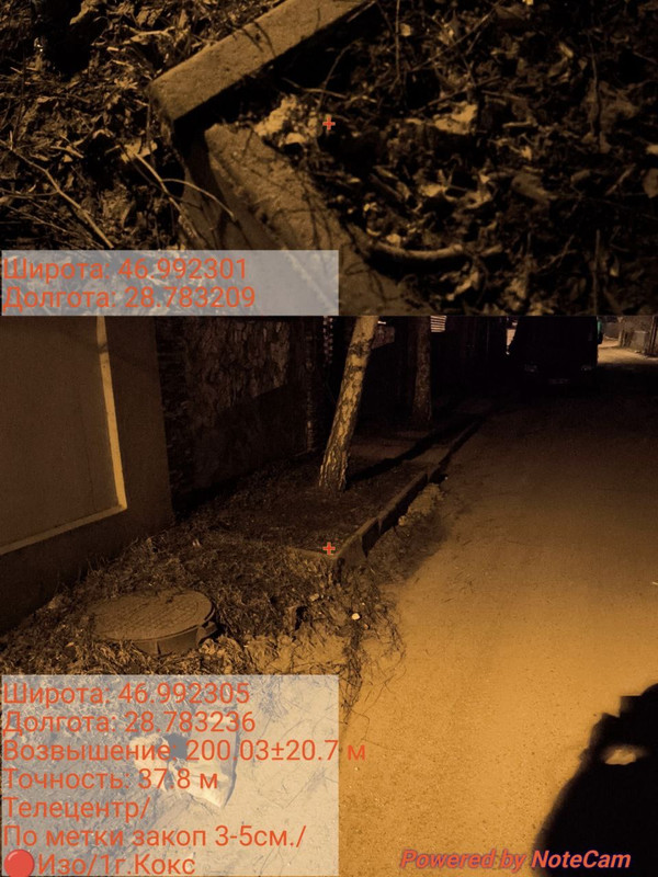 IMG 0938