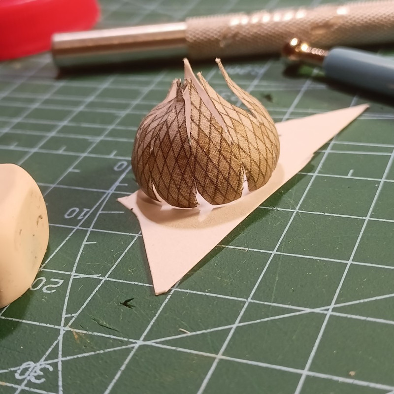 IMG20221021004614 (Custom)