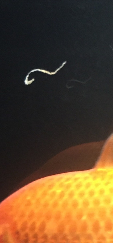 4C3982B2-2F47-44CB-A280-6643600F6071