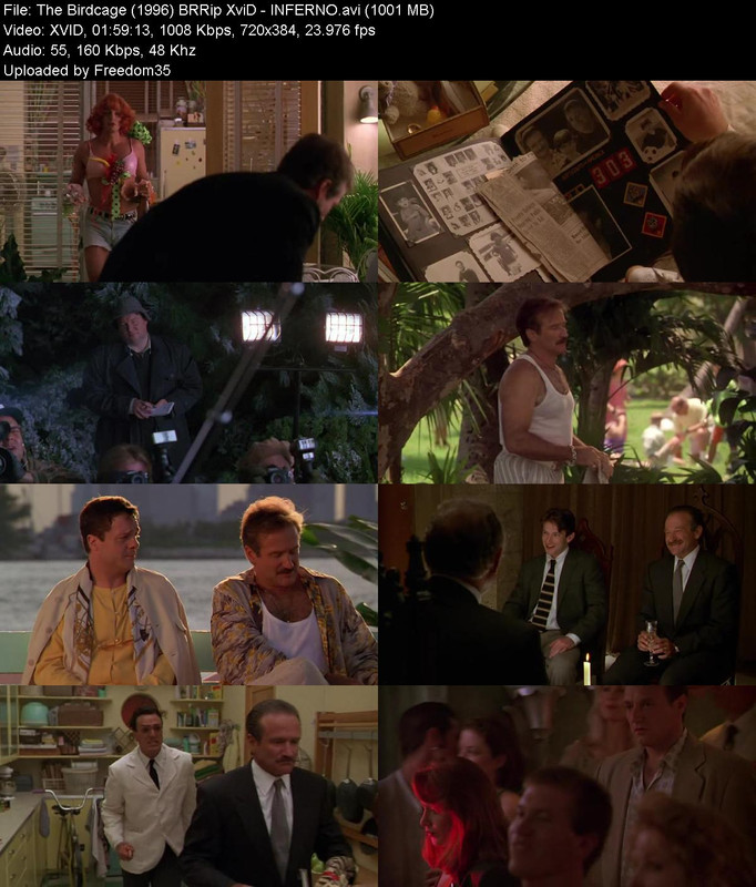 The-Birdcage-1996-BRRip-Xvi-D-INFERNO.jp