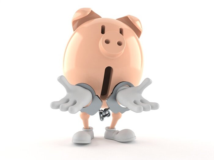 pigs
