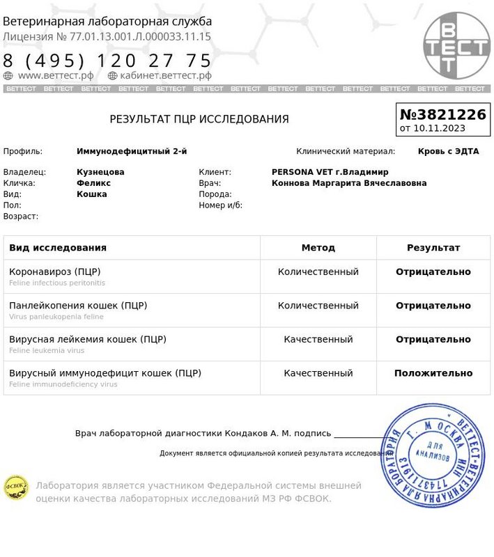 IMG-20231111-WA0000(1)