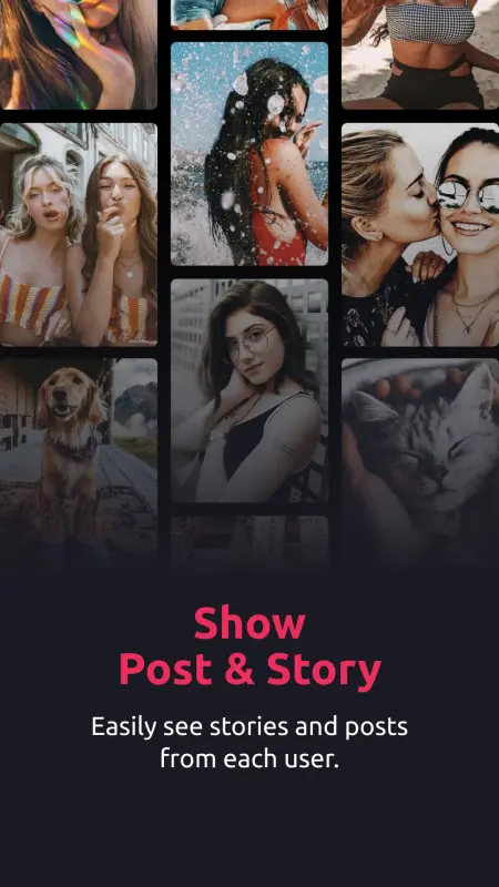 Download InSeen Premium Mod APK