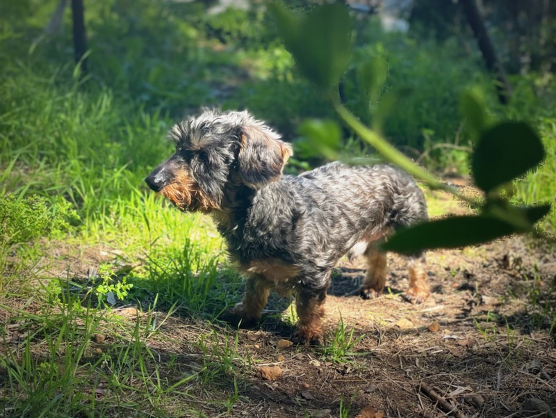 [Image: IMG-3008.jpg]