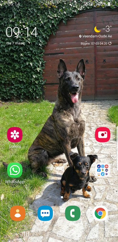 Afbeelding