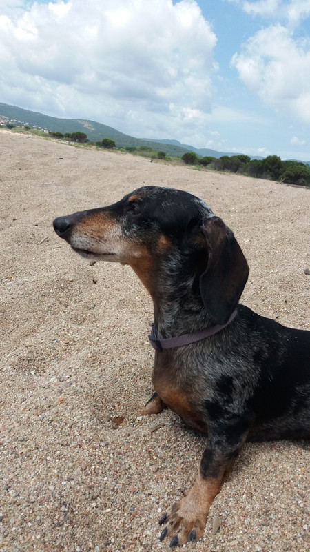 [Image: 20220530-114805.jpg]