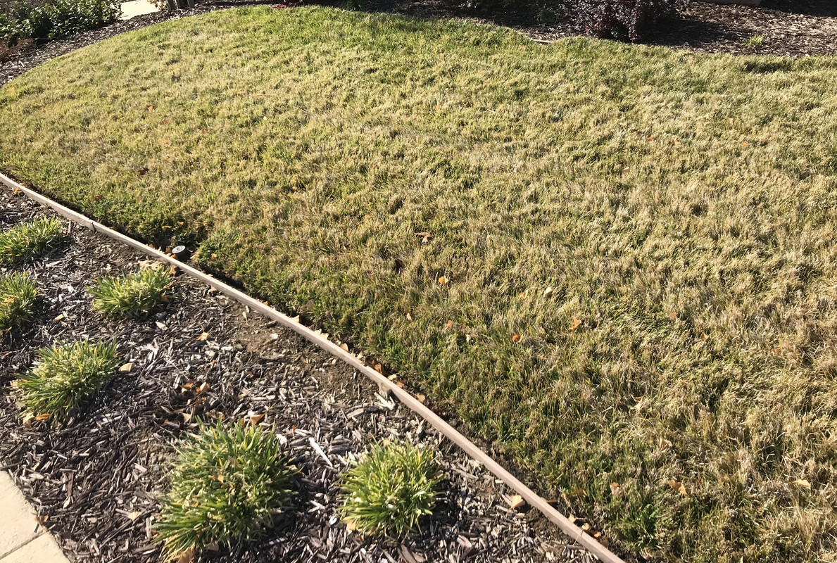 D2EB9004-D2D1-43C6-B019-16A7B61BA67B