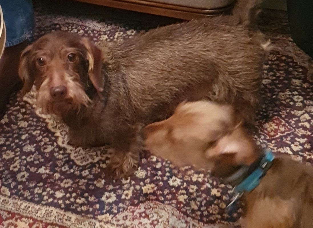 [Image: 20211219-210321.jpg]