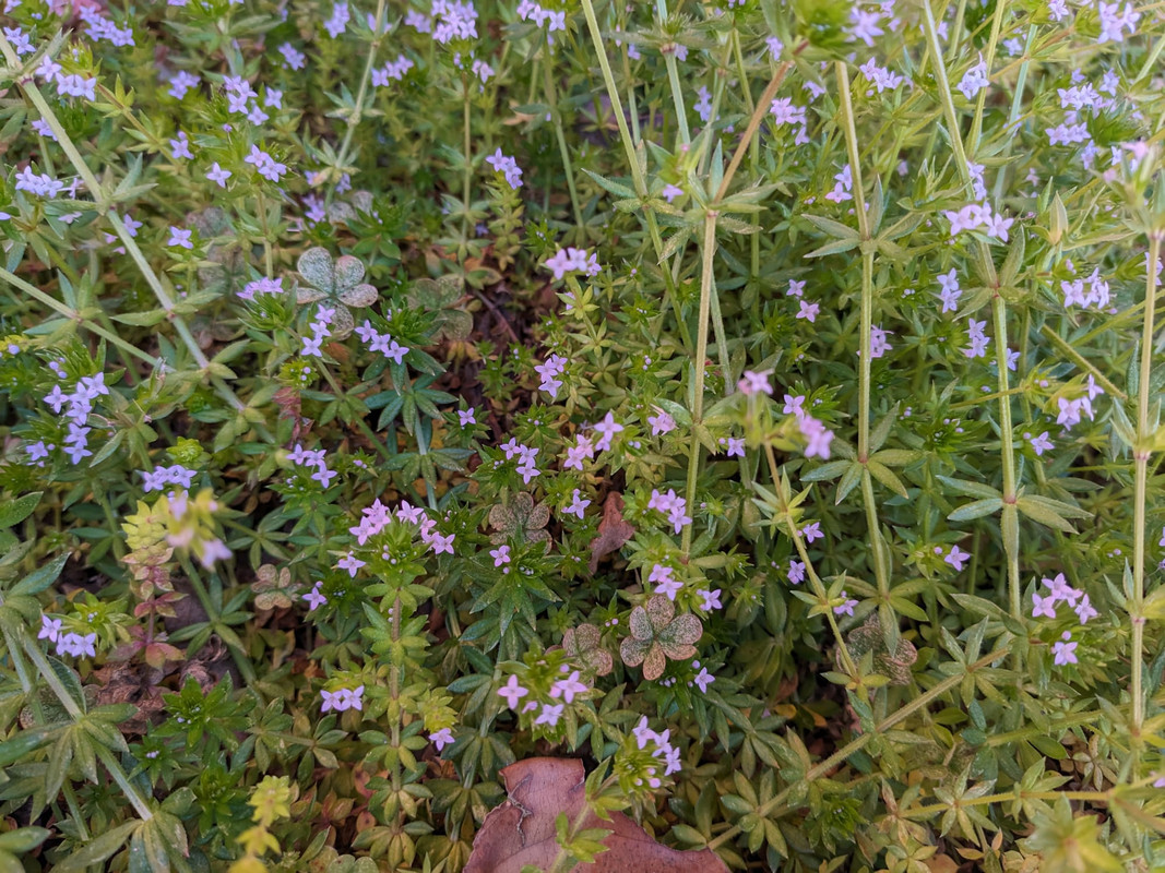 WhatsApp Image 2024-03-20 at 13.27.45 (2)