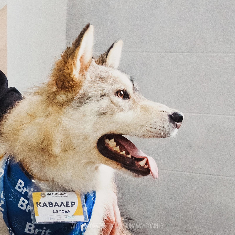 494696D4-3274-4E78-8E1B-0A654EEE8607