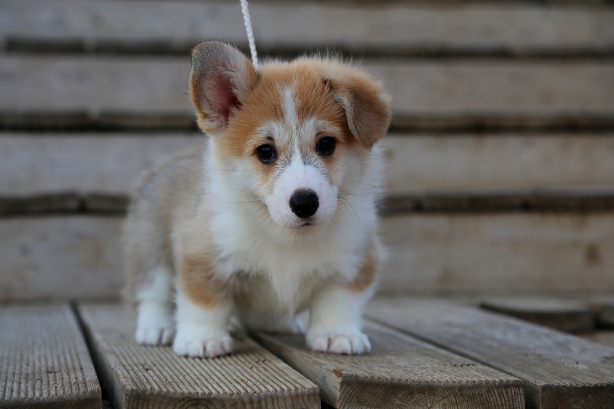 IMG_7930    17.07.21 АК Байрон