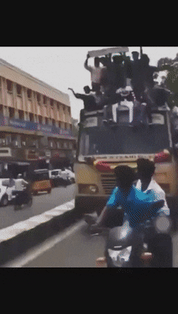 EL MEJOR GIF ANIMADO V 4.0 - Página 4 Scholarly-Greedy-Brahmancow-size-restricted