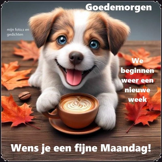 maandag-mijn-foto-en-gedichten