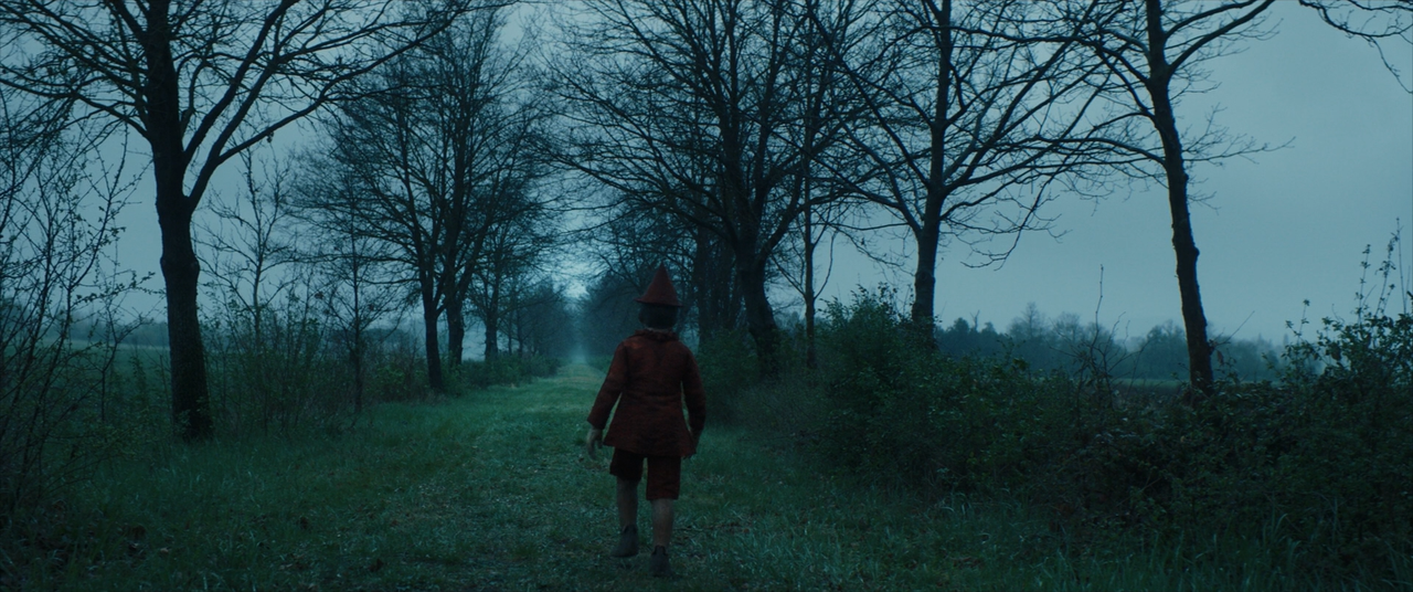 Pinocchio (2019) [BluRay Rip 1080p ITA DTS-AC3 SUBS] [M@HD].mkv_snapshot_00.33.38.198
