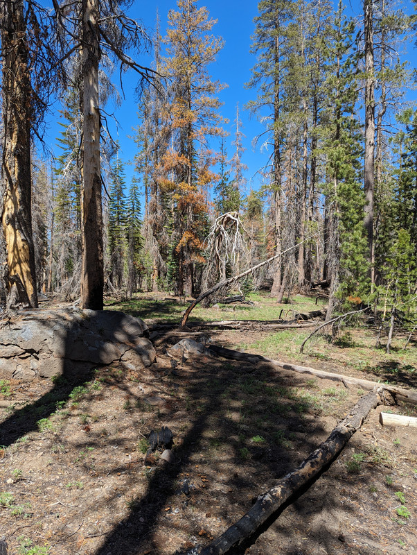 PXL_20250613_214242904