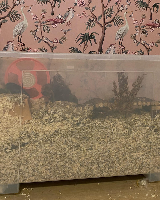 E65346A4-4CAB-4CF9-A9A5-4468EC0EC10C