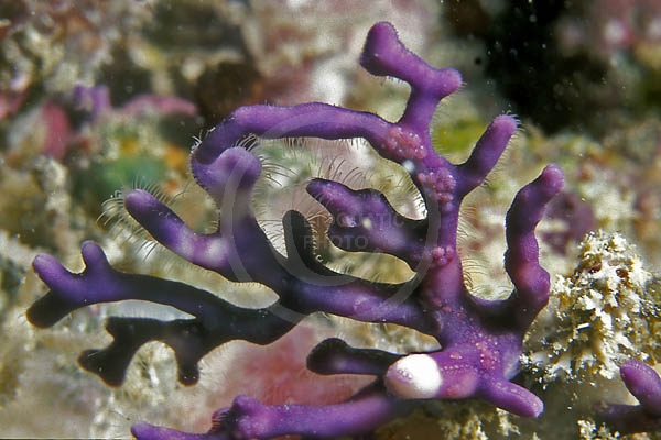 A827D3E4-2318-4FF7-A16C-2C9BD19F700A