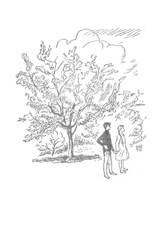 p0002