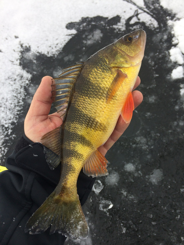 B09780BD-57BC-42BE-B2AE-A983943F0CA0