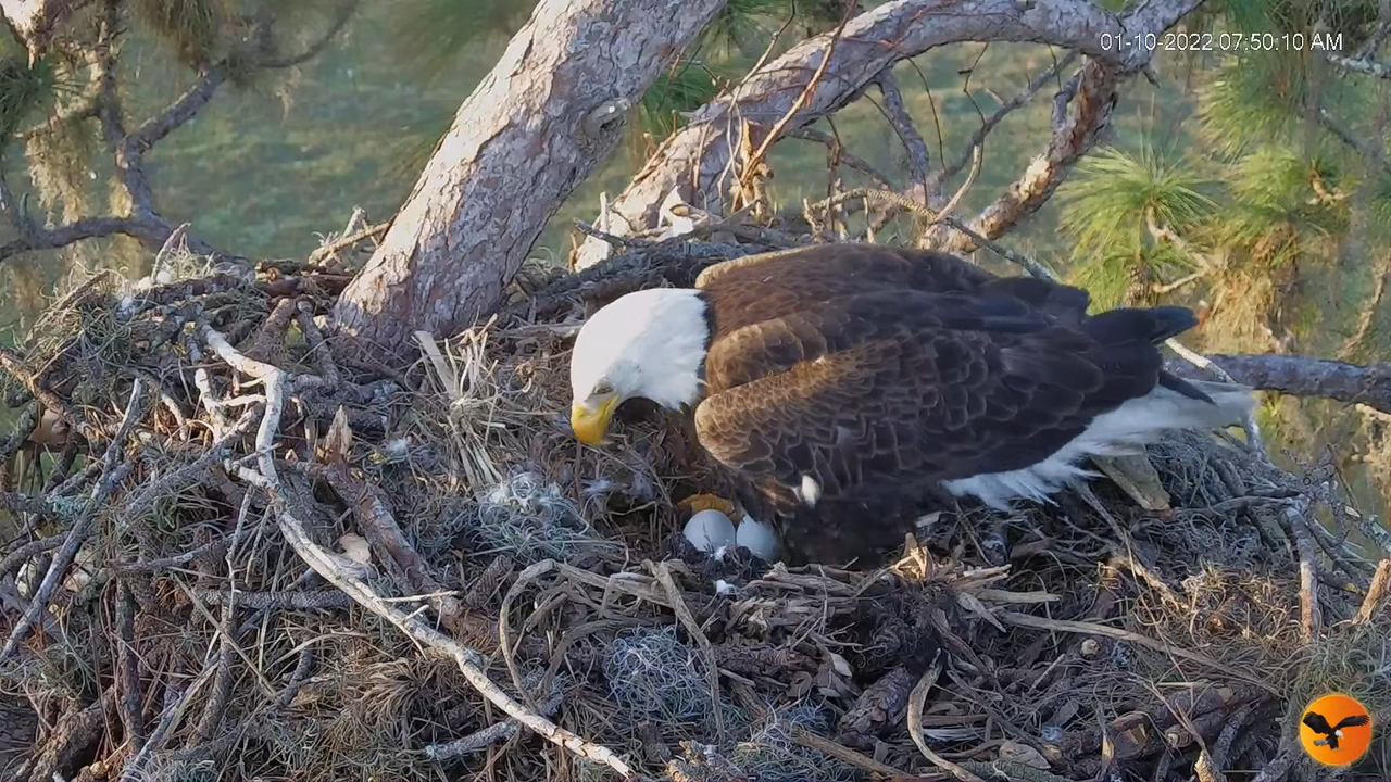 EC 4K Overhead Cam 13-27-43 screenshot
