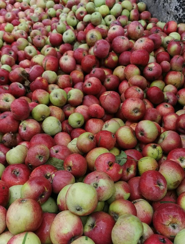 IMG-20221013-WA0003_edit_464166804233337