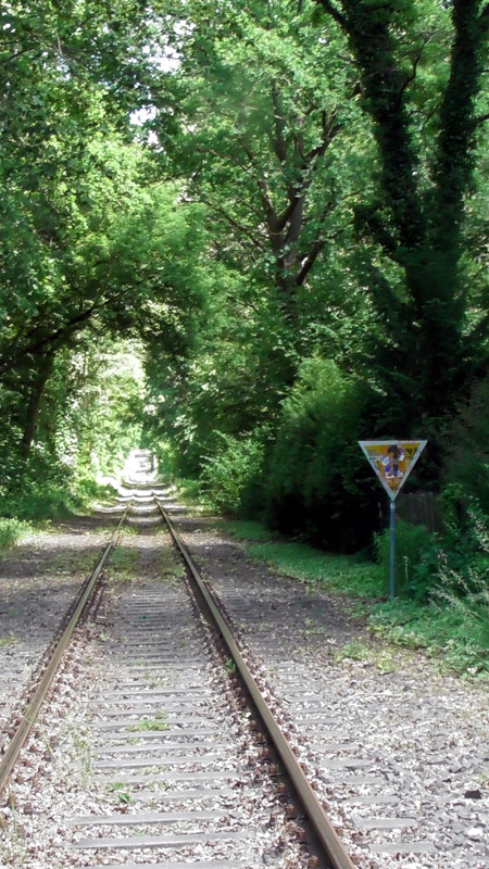 S1470189