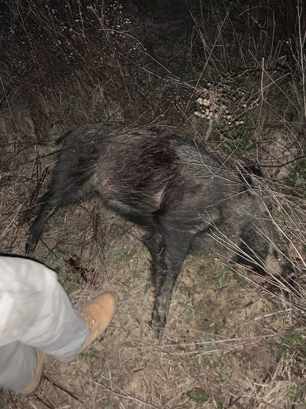 45593AE1-C348-45A5-9CC9-0FB5AB351035